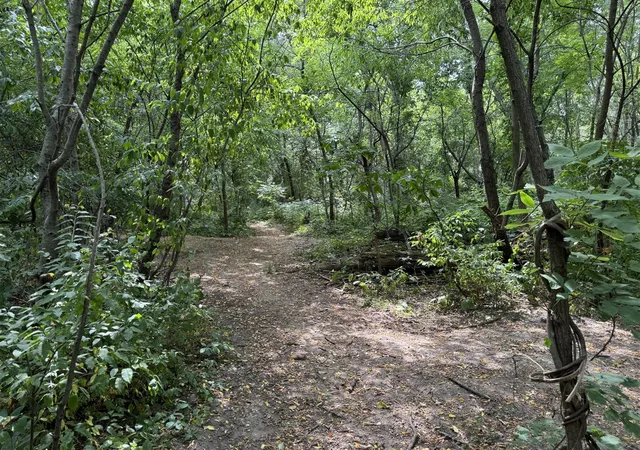 Photo 4 of Land for sale at 5708 Division, Grand Rapids, MI 49548 | MLS# 70546686 | Listing updated on 2026-08-23