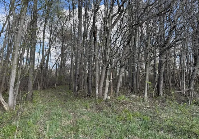 Photo 4 of Sale Pending at 0 24th, Allegan, MI 49010 | MLS# 70526198 | Listing updated on 2026-04-27