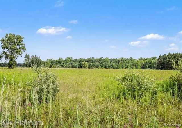 Photo 3 of Sale Pending at Lot 10 Lapeer Rd, Kimball, MI 48074 1514 | MLS# 61019818 | Listing updated on 2026-08-29