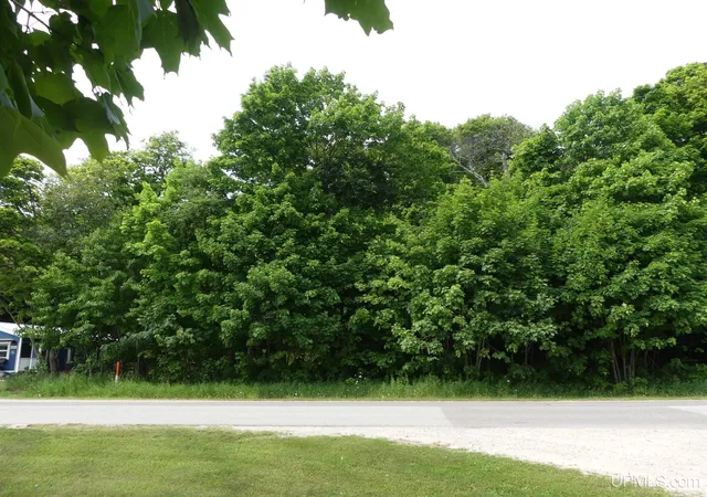 Photo 1 of Land for sale at 0 E Lake Ave, Grand Marais, MI 49839 | MLS# 50216895 | Listing updated on 2026-09-11