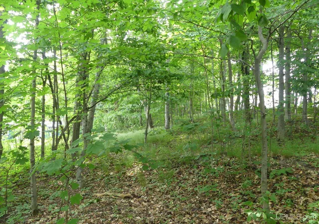 Photo 2 of Land for sale at 0 E Lake Ave, Grand Marais, MI 49839 | MLS# 50216895 | Listing updated on 2026-09-11