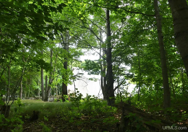Photo 3 of Land for sale at 0 E Lake Ave, Grand Marais, MI 49839 | MLS# 50216895 | Listing updated on 2026-09-11