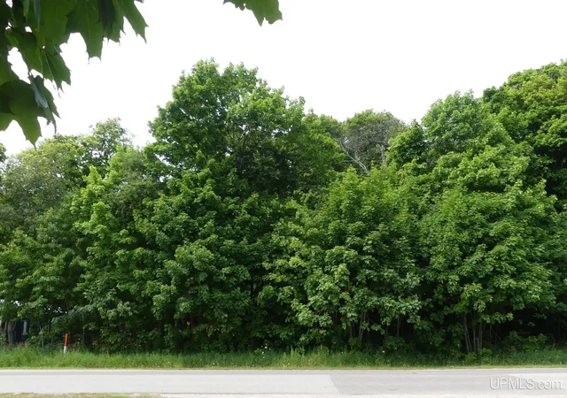 Photo 4 of Land for sale at 0 E Lake Ave, Grand Marais, MI 49839 | MLS# 50216895 | Listing updated on 2026-09-25