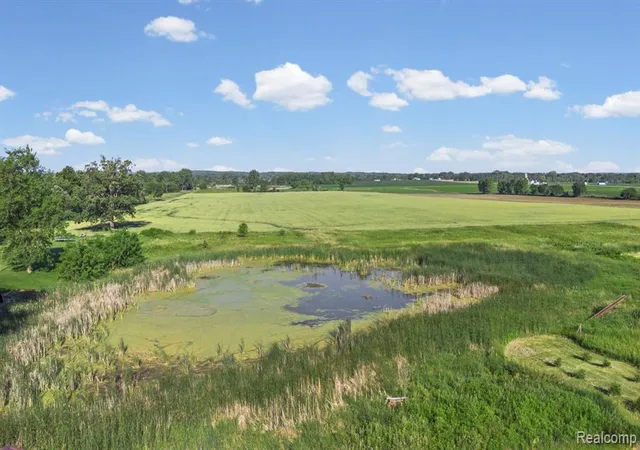 Homes for sale in Imlay City, MI | 865 Brown City Rd, Imlay City, MI 48444 | MLS# 61006604