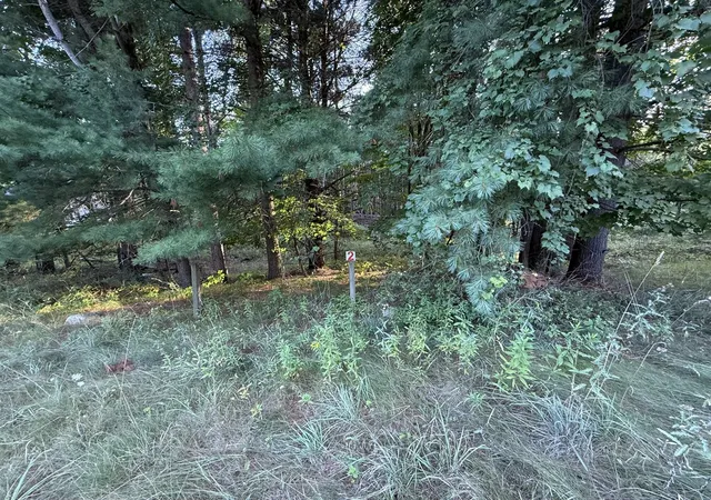 Land for sale at 16313 Mitchell Crk Trl, Big Rapids, MI 49307 | MLS# 70553589
