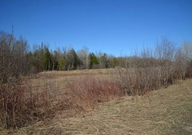 Homes for sale in East Jordan, MI | 0 Wilson Rd, East Jordan, MI 49727 | MLS# 80055029