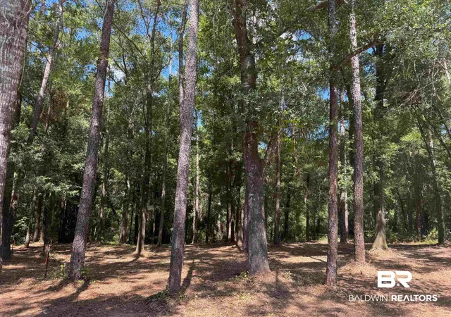 Photo 3 of Land for sale at 0 Victorian Dr, Fairhope, AL 36532 | MLS# 382215 | Listing updated on 2026-08-02