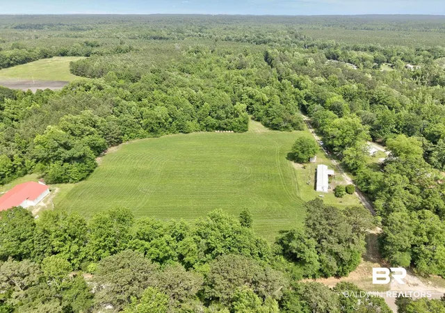 21st image of 726 County Rd 19, Camden, AL 36726 | MLS# 383139