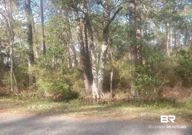 Photo 3 of Land for sale at 228 Chenault Ave, Dauphin Island, AL 36528 | MLS# 407628 | Listing updated on 2026-08-12