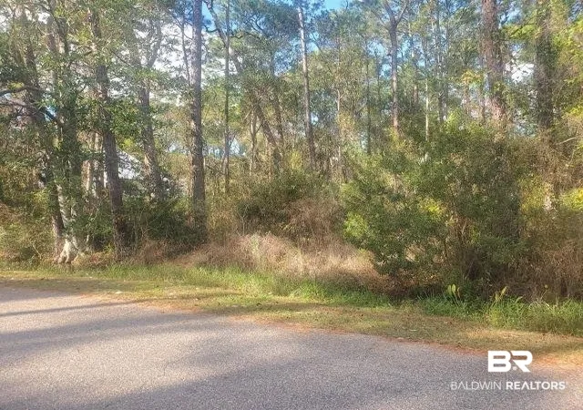 Photo 3 of Land for sale at 228 Chenault Ave, Dauphin Island, AL 36528 | MLS# 407628 | Listing updated on 2026-08-12