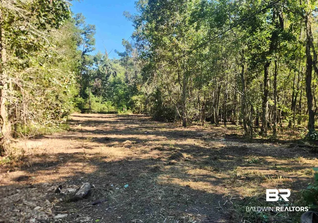 Photo 3 of Land for sale at 413 Young St, Fairhope, AL 36532 | MLS# 381662 | Listing updated on 2026-07-30