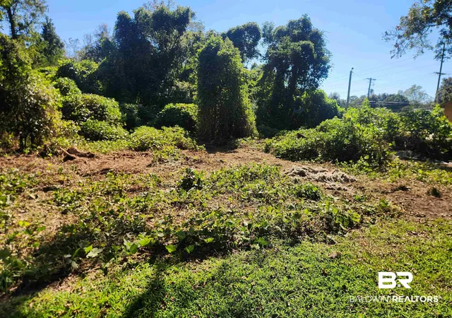 Photo 4 of Land for sale at 413 Young St, Fairhope, AL 36532 | MLS# 381662 | Listing updated on 2026-07-30
