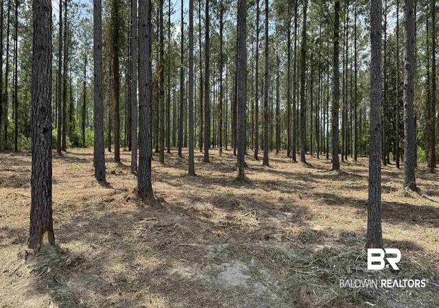 Photo 1 of Land for sale at 0 Ronald Sanks Rd, Bay Minette, AL 36507 | MLS# 396155 | Listing updated on 2026-08-19