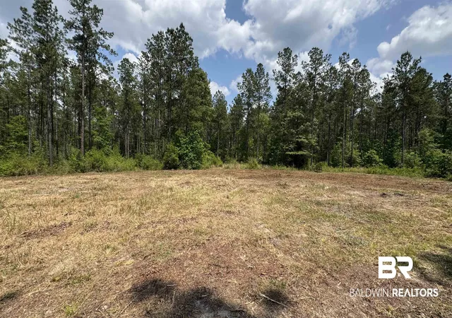 Photo 2 of Land for sale at 0 Ronald Sanks Rd, Bay Minette, AL 36507 | MLS# 396155 | Listing updated on 2026-08-19