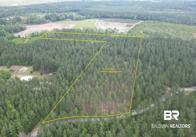 Photo 3 of Land for sale at 0 Ronald Sanks Rd, Bay Minette, AL 36507 | MLS# 396155 | Listing updated on 2026-08-19