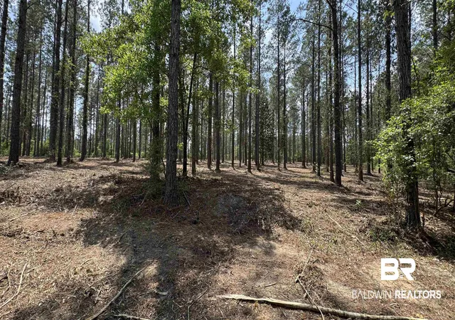 Photo 4 of Land for sale at 0 Ronald Sanks Rd, Bay Minette, AL 36507 | MLS# 396155 | Listing updated on 2026-08-19