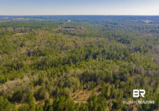 Photo 3 of Land for sale at 12960 County Rd 48, Silverhill, AL 36576 | MLS# 390998 | Listing updated on 2026-07-24