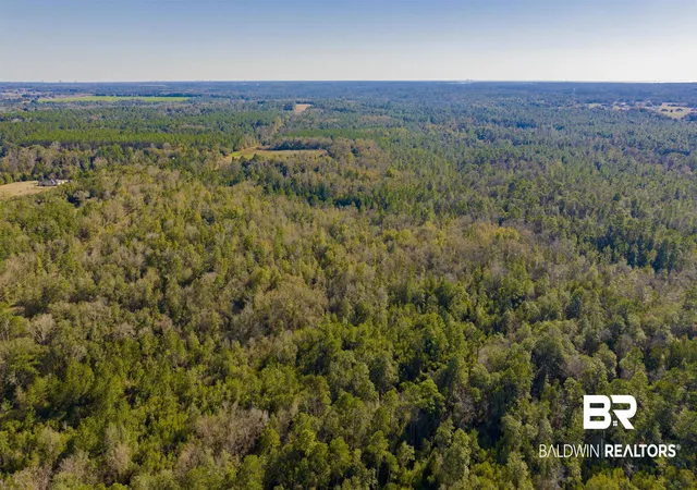 Photo 4 of Land for sale at 12960 County Rd 48, Silverhill, AL 36576 | MLS# 390998 | Listing updated on 2026-07-24