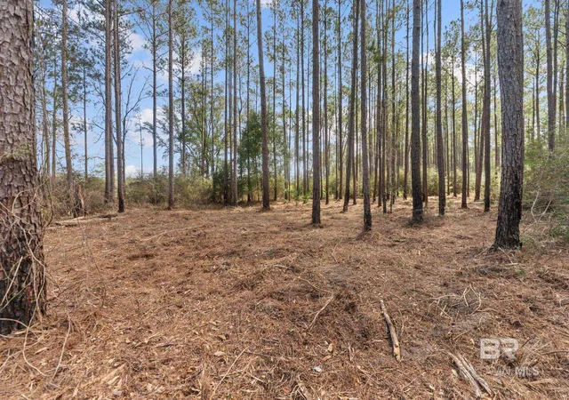 Homes for sale in Seminole, AL | Lot #10   O Bermuda Lane, Seminole, AL 36574 | MLS# 392803