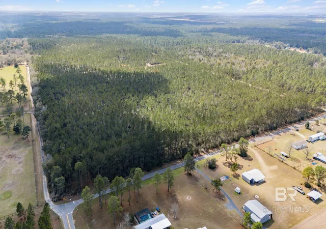 Homes for sale in Seminole, AL | Lot #10   O Bermuda Lane, Seminole, AL 36574 | MLS# 392803