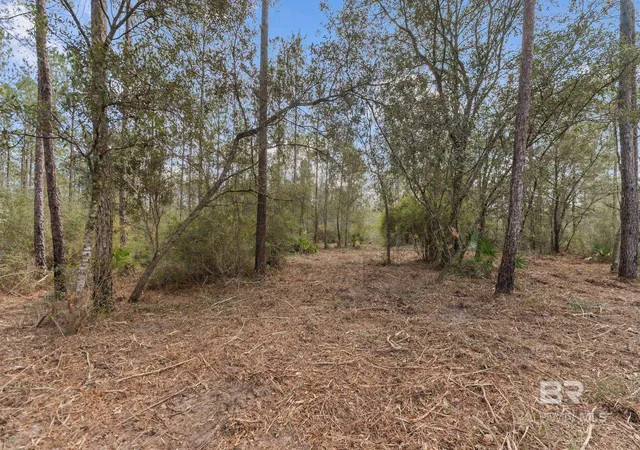 Homes for sale in Seminole, AL | Lot #10   O Bermuda Lane, Seminole, AL 36574 | MLS# 392803