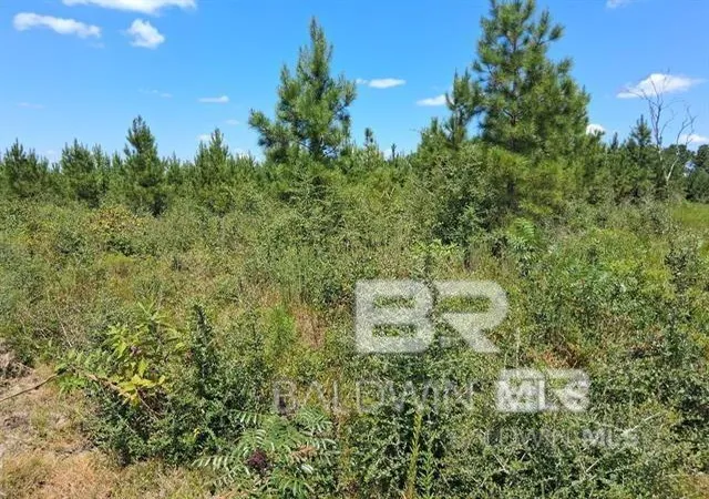 Homes for sale in Robertsdale, AL | 0000 Linholm Road, Robertsdale, AL 36567 | MLS# 398755