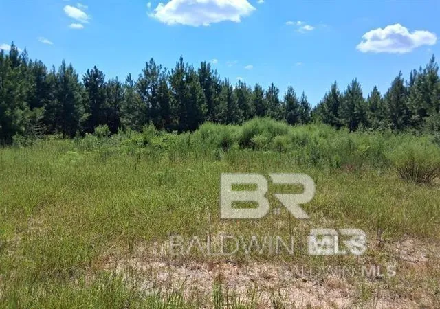 Homes for sale in Robertsdale, AL | 0000 Linholm Road, Robertsdale, AL 36567 | MLS# 398755