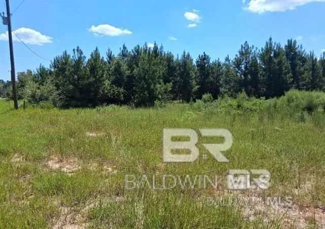 Homes for sale in Robertsdale, AL | 0000 Linholm Road, Robertsdale, AL 36567 | MLS# 398755