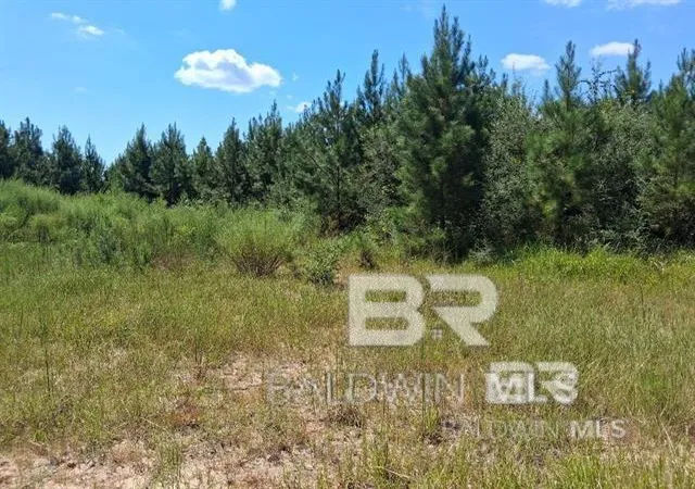 Homes for sale in Robertsdale, AL | 0000 Linholm Road, Robertsdale, AL 36567 | MLS# 398755