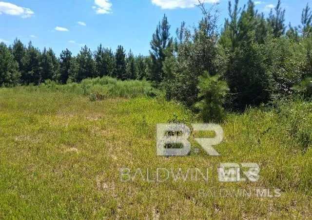 Homes for sale in Robertsdale, AL | 0000 Linholm Road, Robertsdale, AL 36567 | MLS# 398755