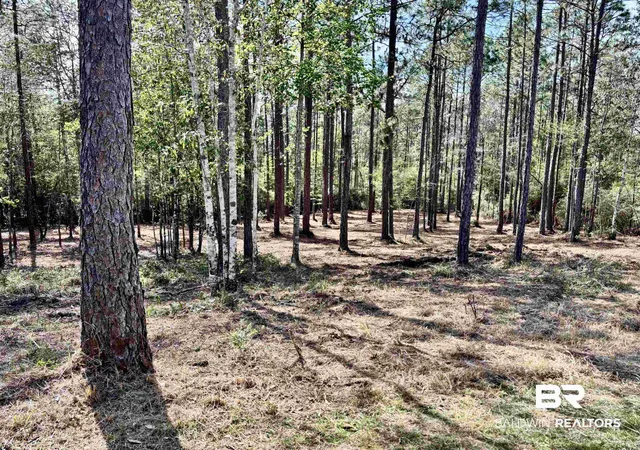 Photo 2 of Land for sale at 0 Steelwood Ridge Rd, Loxley, AL 36551 | MLS# 394992 | Listing updated on 2026-09-01