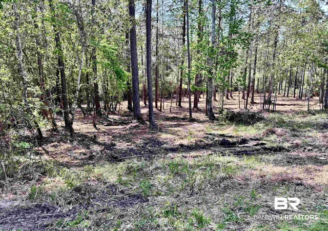 Photo 3 of Land for sale at 0 Steelwood Ridge Rd, Loxley, AL 36551 | MLS# 394992 | Listing updated on 2026-09-01