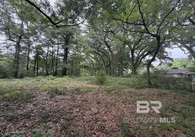 Homes for sale in Spanish Fort, AL | 0 Hwy 225, Spanish Fort, AL 36527 | MLS# 398783