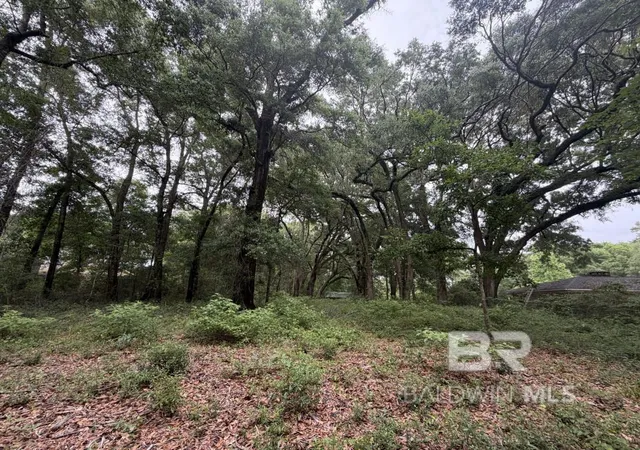 Homes for sale in Spanish Fort, AL | 0 Hwy 225, Spanish Fort, AL 36527 | MLS# 398783
