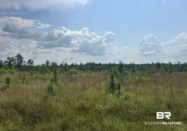 1st image of 0 Bradley Rd, Brewton, AL 36426 | MLS# 398776