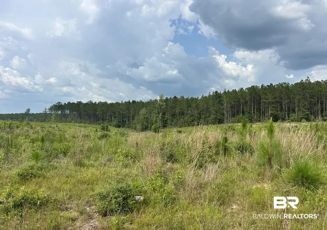 2nd image of 0 Bradley Rd, Brewton, AL 36426 | MLS# 398776