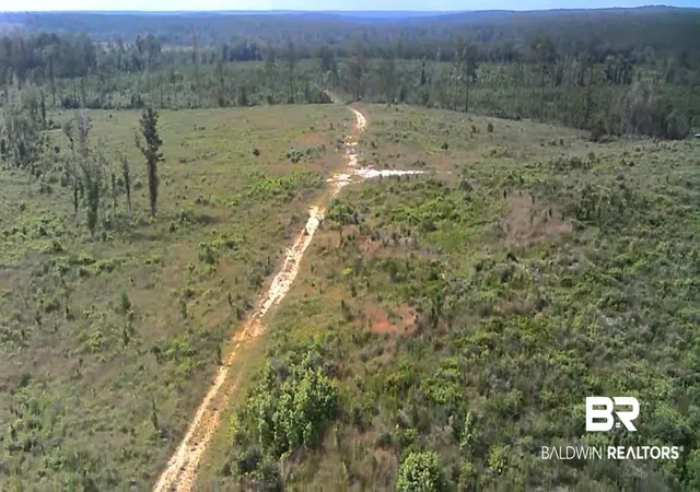 Photo 3 of Land for sale at 0 Bradley Rd, Brewton, AL 36426 | MLS# 398776 | Listing updated on 2026-07-24