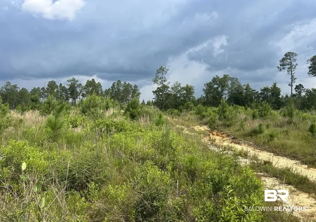 Photo 3 of Land for sale at 0 Bradley Rd, Brewton, AL 36426 | MLS# 398776 | Listing updated on 2026-07-24