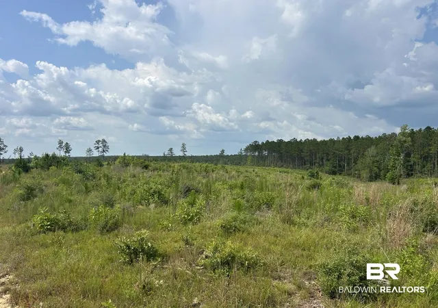 Photo 4 of Land for sale at 0 Bradley Rd, Brewton, AL 36426 | MLS# 398776 | Listing updated on 2026-07-24