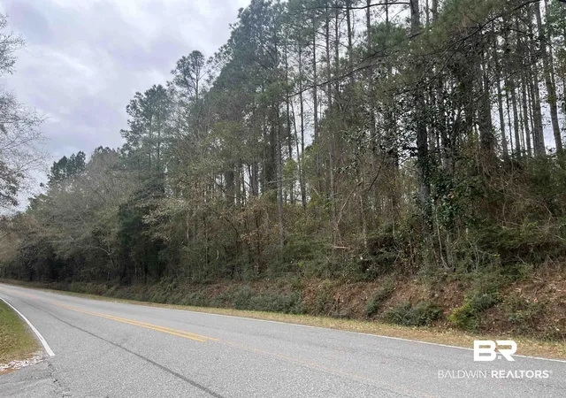 Photo 1 of Land for sale at 3000 N Block Pine Barren Rd, Mc David, FL 32568 | MLS# 390296 | Listing updated on 2026-07-24
