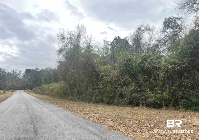 Photo 2 of Land for sale at 3000 N Block Pine Barren Rd, Mc David, FL 32568 | MLS# 390296 | Listing updated on 2026-07-24
