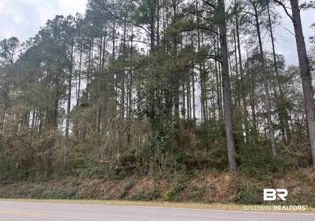 Photo 3 of Land for sale at 3000 N Block Pine Barren Rd, Mc David, FL 32568 | MLS# 390296 | Listing updated on 2026-07-24