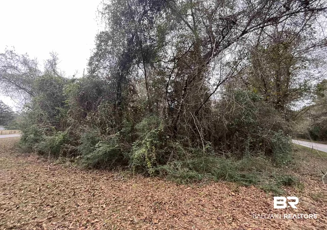 Photo 4 of Land for sale at 3000 N Block Pine Barren Rd, Mc David, FL 32568 | MLS# 390296 | Listing updated on 2026-07-24