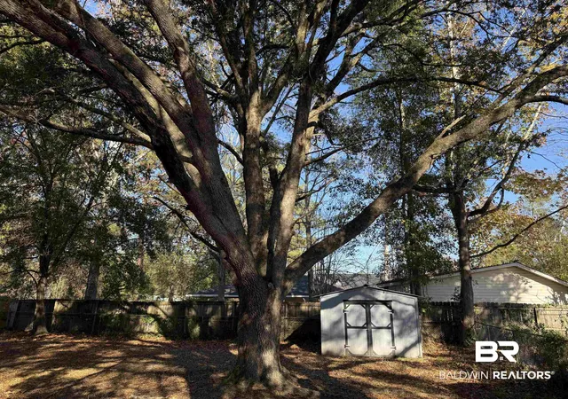 13th image of 114 Spruce Avenue, Brewton, AL 36426 | MLS# 388481