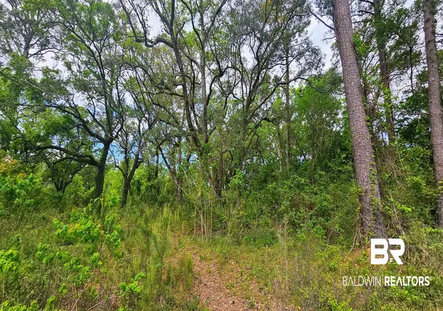 Photo 2 of Land for sale at 30701 Stanton Rd, Spanish Fort, AL 36527 | MLS# 394569 | Listing updated on 2026-08-02