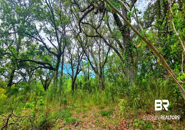 Photo 3 of Land for sale at 30701 Stanton Rd, Spanish Fort, AL 36527 | MLS# 394569 | Listing updated on 2026-08-02