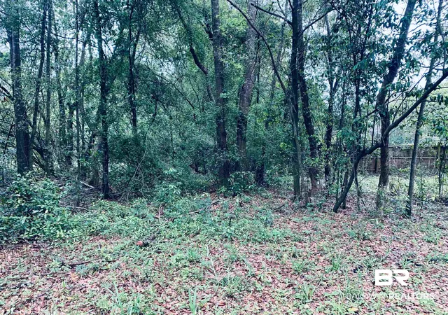 Photo 3 of Land for sale at 1510 Northview Dr, Mobile, AL 36618 | MLS# 395898 | Listing updated on 2026-08-27