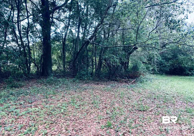 Photo 4 of Land for sale at 1510 Northview Dr, Mobile, AL 36618 | MLS# 395898 | Listing updated on 2026-08-27