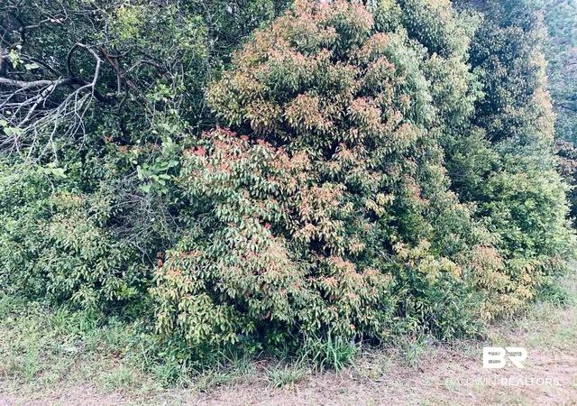Photo 7 of Land for sale at 1510 Northview Dr, Mobile, AL 36618 | MLS# 395898 | Listing updated on 2026-08-27