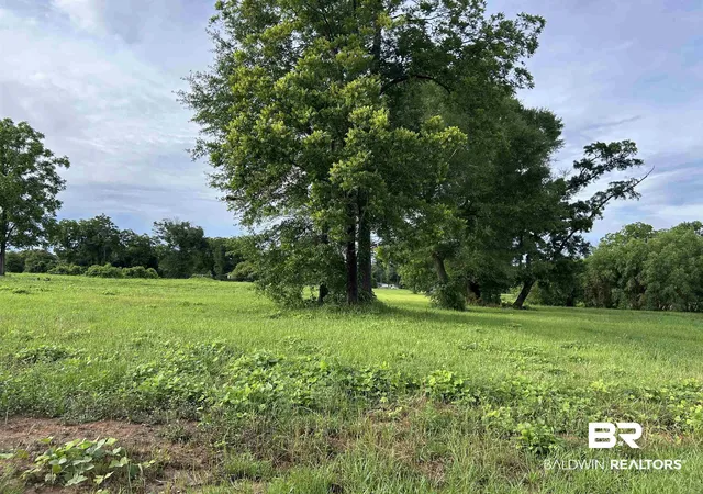Photo 3 of Land for sale at 0 Grelot Rd, Mobile, AL 36695 | MLS# 397293 | Listing updated on 2026-07-28